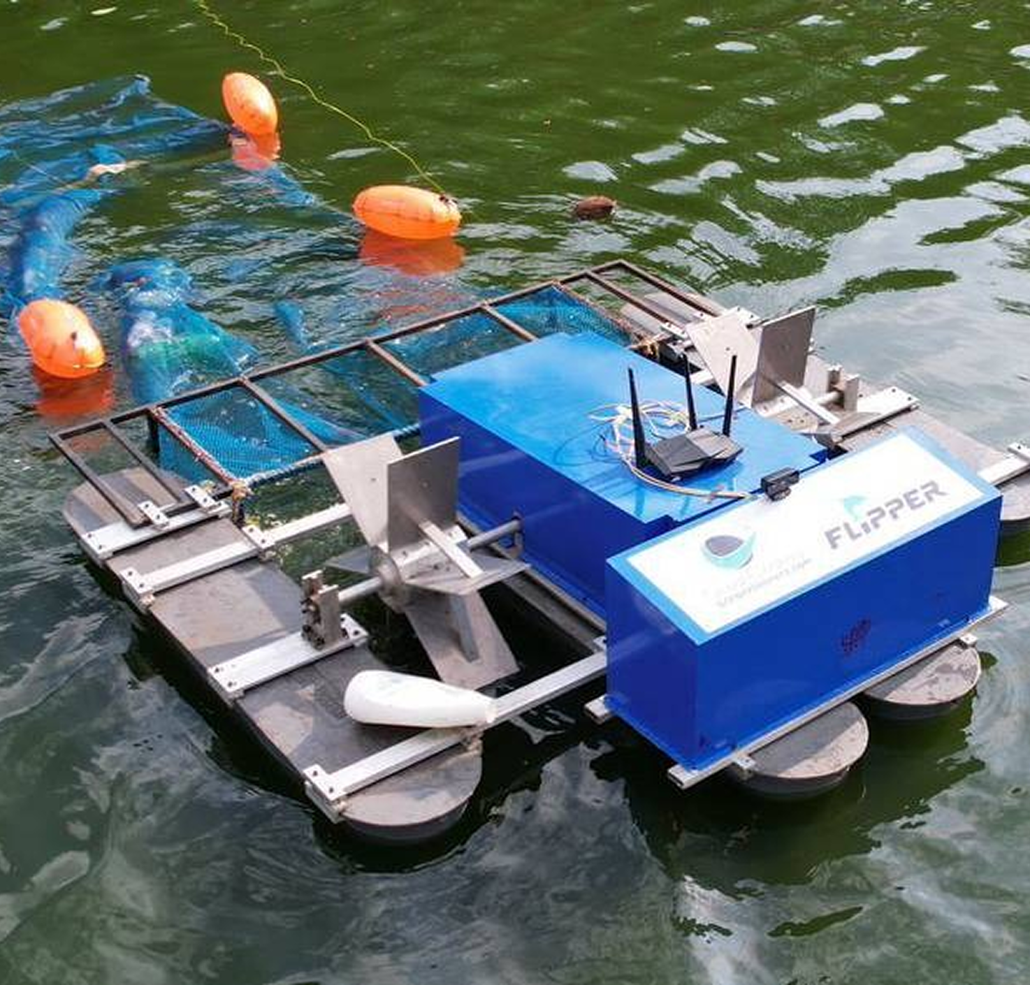 Flipper Image